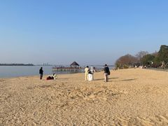 -瑶湖郊野森林公园