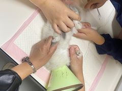 -谐和益家动物医院·免疫绝育·血液透析·宠保定点医院(高新伊藤分院)
