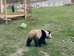 -西安秦岭野生动物园