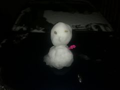 -御苑宾馆-中餐厅