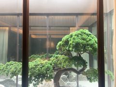 -徐记海鲜(观沙岭|滨江新城店)