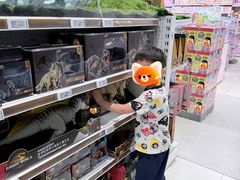 -TOYSRUS玩具反斗城(上海万象城店)