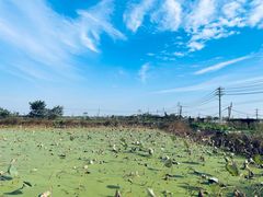 -红莲湖旅游度假区