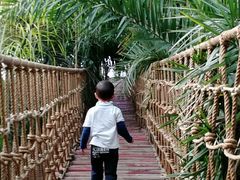 -呀路古热带植物园