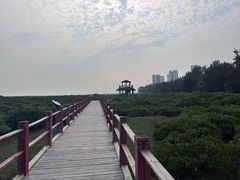 -北海金海湾红树林生态旅游区