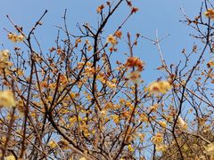 -白塘生态植物园