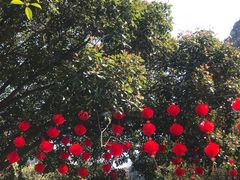 -南溪山景区