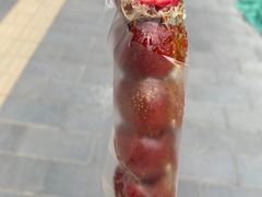 -和禄德冰糖葫芦