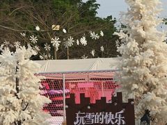 -盈香心动乐园