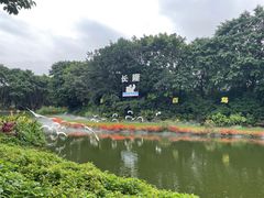 -广州长隆飞鸟乐园