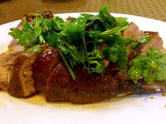 -肥信潮菜(科新路店)