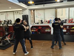 -温鉴良实用咏春拳