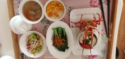 -中法母婴月子中心(南湖创始店)