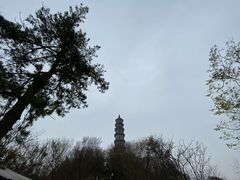 -巢湖姥山岛