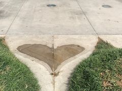 -华特·迪士尼音乐厅