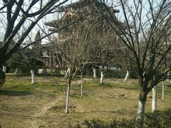 -西安青龙寺遗址景区