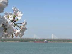 -幕燕滨江·长江观音景区