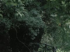 -刘伯温故里景区百丈漈