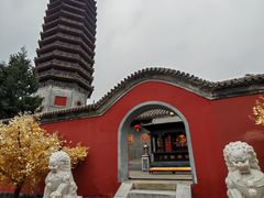 -西海子公园
