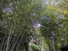 -乌山风景区