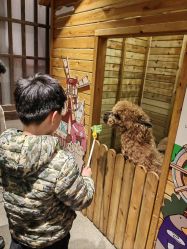 -造物庄园 萌宠纪(苏州湾歌林公园店)