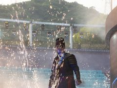 -杭州宋城