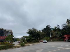 -野象谷景区