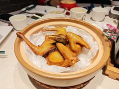 -大鸽饭(动物园店)
