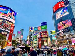 -涩谷全向十字路口