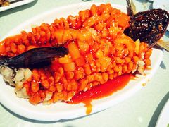 -肘子酥·天津菜·特色捞面(德云社店)
