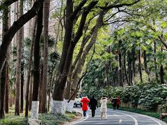 -采石矶景区