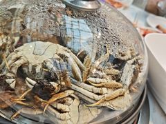 -半岛听涛蒸汽海鲜自助(K11店)