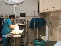 -瑞派天使宠物医院·神经外科·骨科·核磁(洛川中路店)