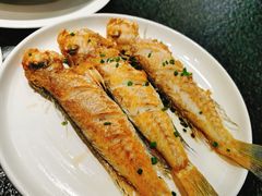 -常胜鲍鱼(吉大店)