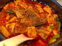 -陈麻婆豆腐总店