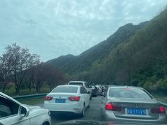 -牛背梁国家森林公园