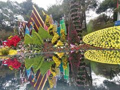 -南山植物园