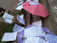 -人民公园-相亲角