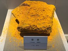 -大连自然博物馆