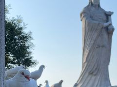 -天津妈祖文化园