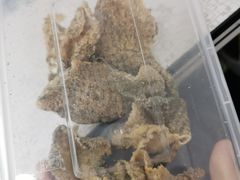 炸鱼皮-老西关濑粉(文明路店)