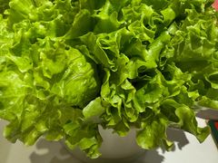 -曲氏老北京铜锅涮肉•火锅(不老街店)