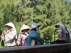 -北海金海湾红树林生态旅游区