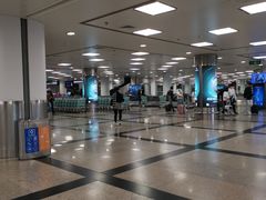-厦门高崎国际机场-T3航站楼