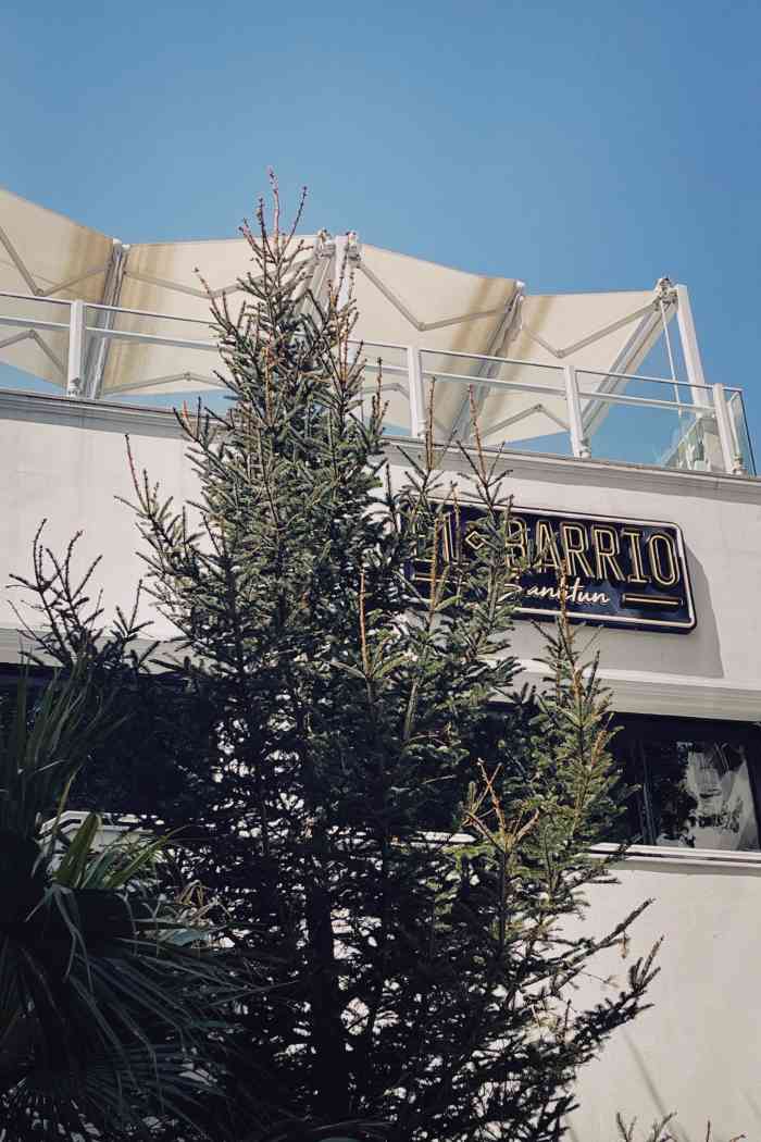 "-大众点评移动版