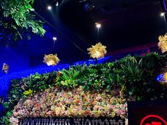 -陌上花儿·音乐西餐吧(和平店)