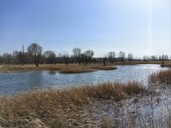 -野鸭湖国家湿地公园