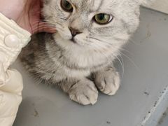 -猫友咖啡店(玉林西路店)