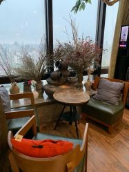 -V-STAR威斯达•高级私人定制