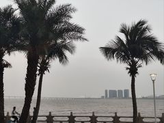 -金悦轩海鲜酒家(拱北店)